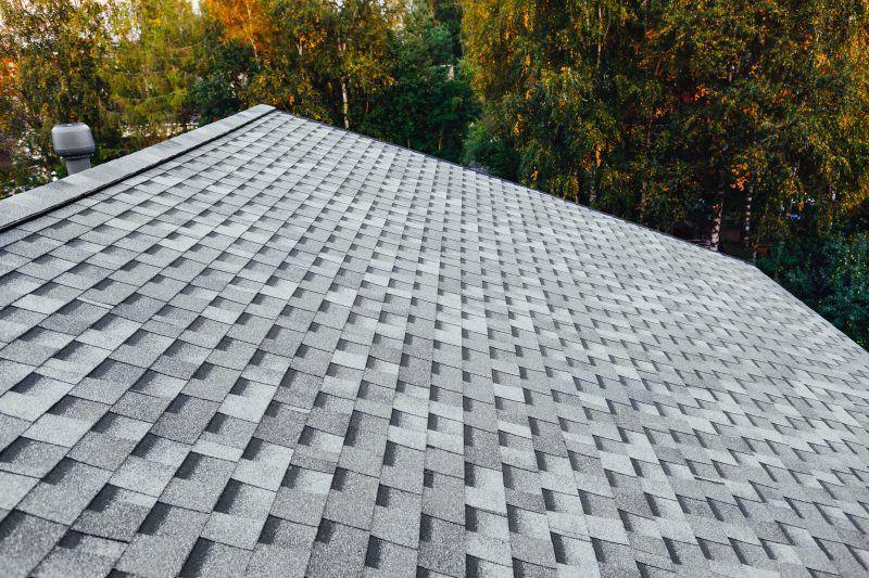 shingle roof