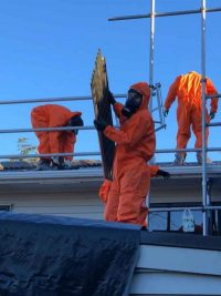 Asbestos removal process done by our professional in Northland